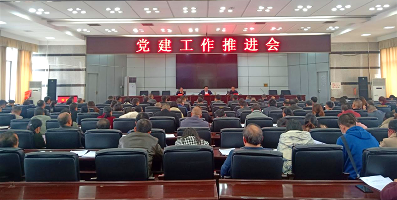 城步召开全县党建工作推进会(图1)