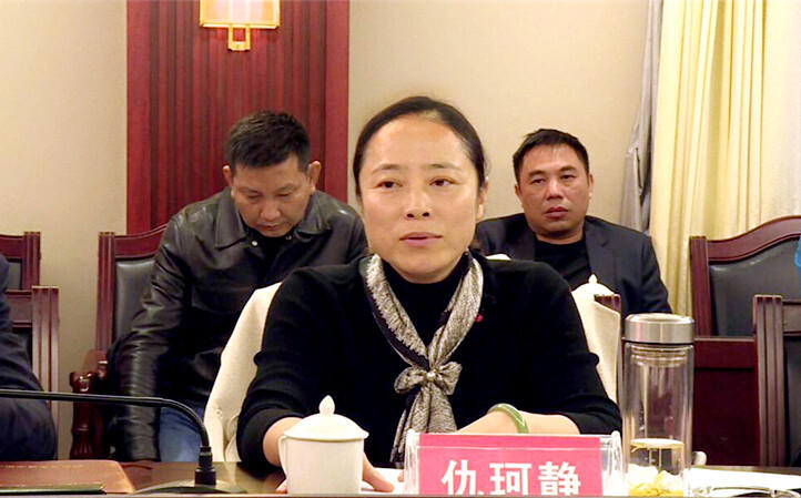 仇珂静到城步督查城龙高速公路建设工作(图1)