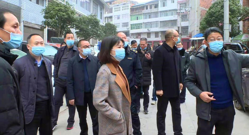 王慧敏一行督导县城秩序综合整治工作(图1)
