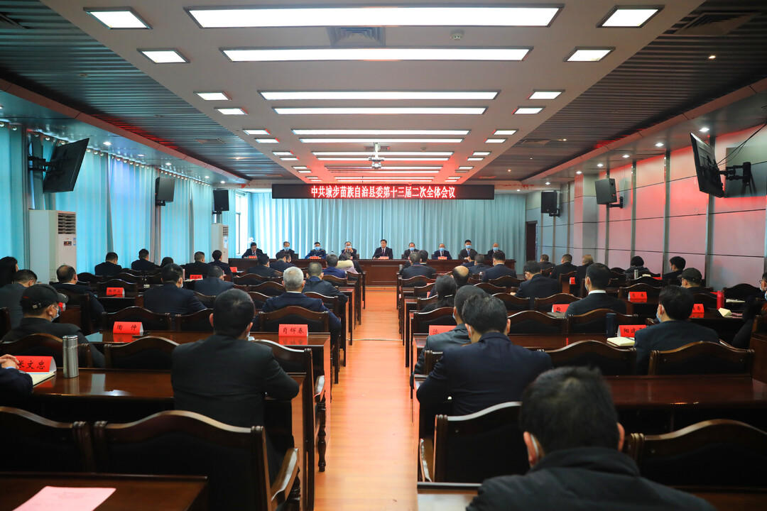 中共城步苗族自治县委第十三届二次全体会议召开(图1)