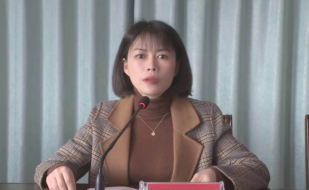 城步召开保安保畅暨疫情防控工作调度会(图2)