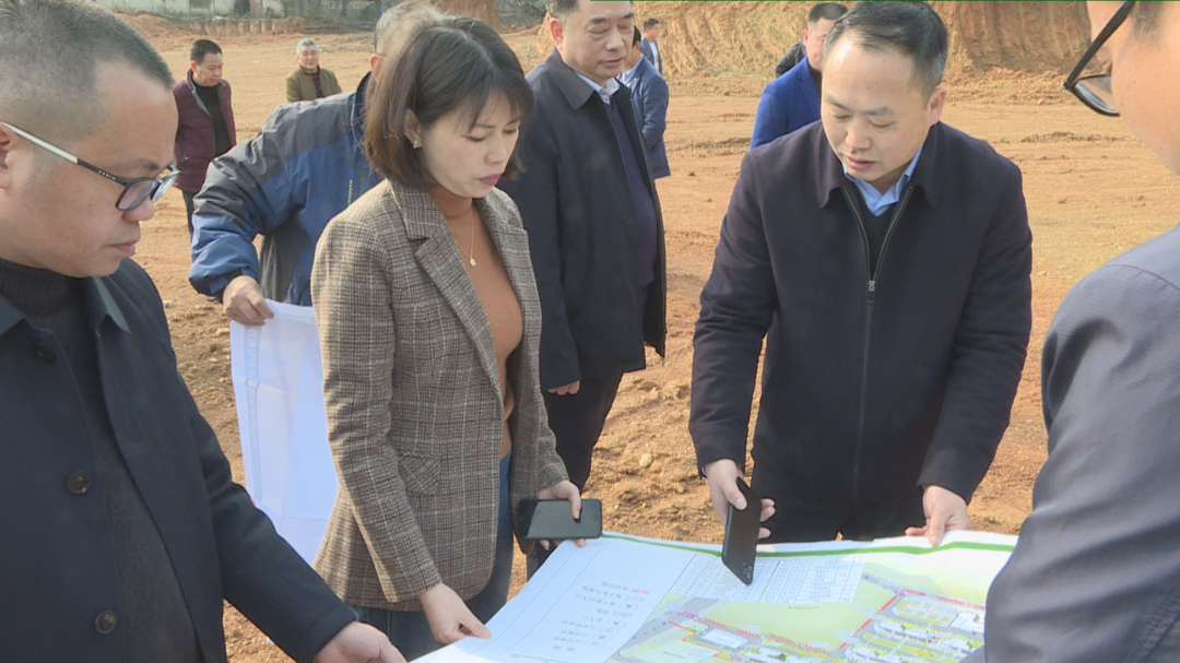 王慧敏督导白水洞保障性住房建设项目(图1)