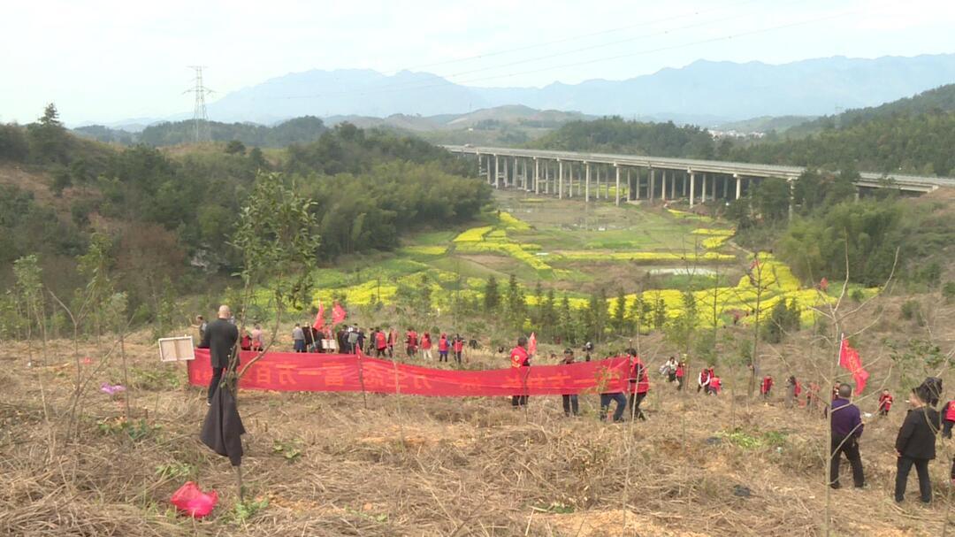 城步：岭上党旗红 苗乡添新绿(图1)