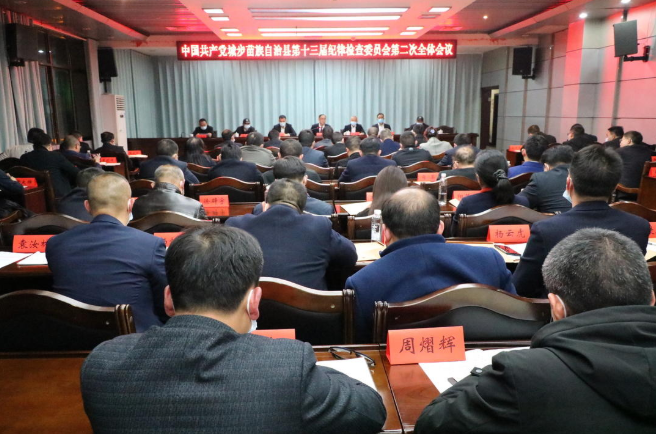 城步第十三届纪律检查委员会第二次全体会议闭幕(图1)