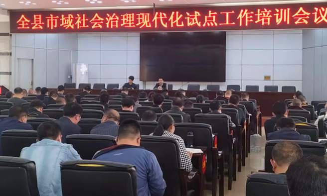 城步召开市域社会治理现代化试点工作培训会(图1)