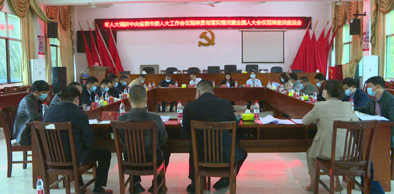 市人大常委会到城调研中央省委市委人大工作会议精神贯彻落实情况(图1)