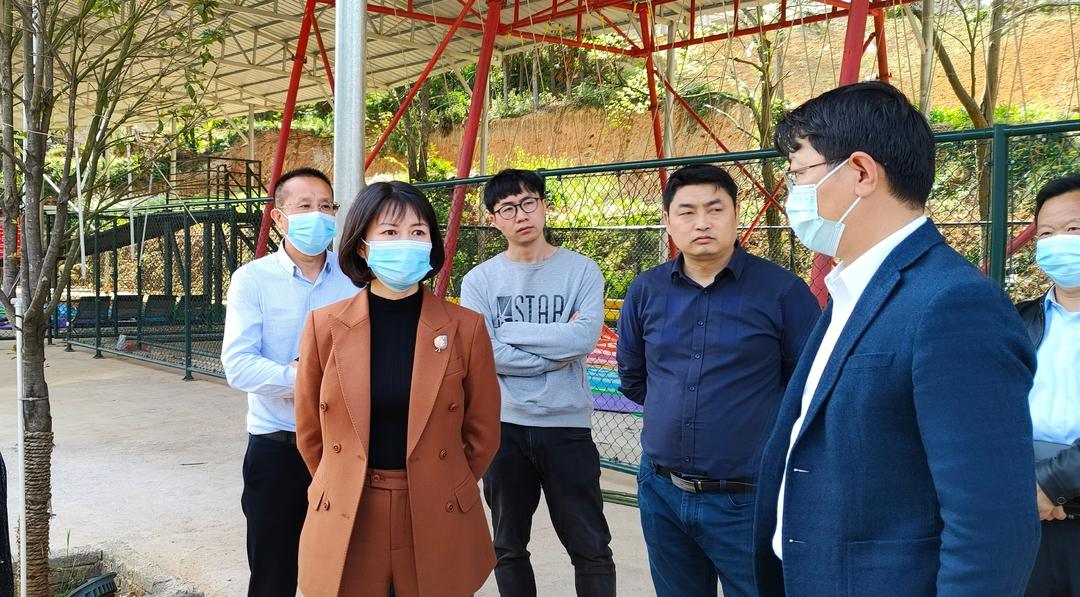 王慧敏督查省市环保督办问题整改推进工作(图1)
