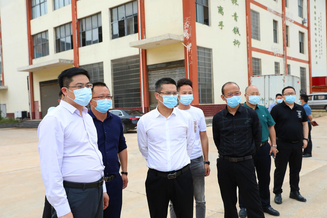 市“促项目、稳投资”专项督导组赴城步调研督导工作(图1)