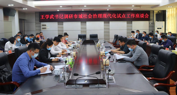 王学武到城步调研市域社会治理现代化试点工作(图2)