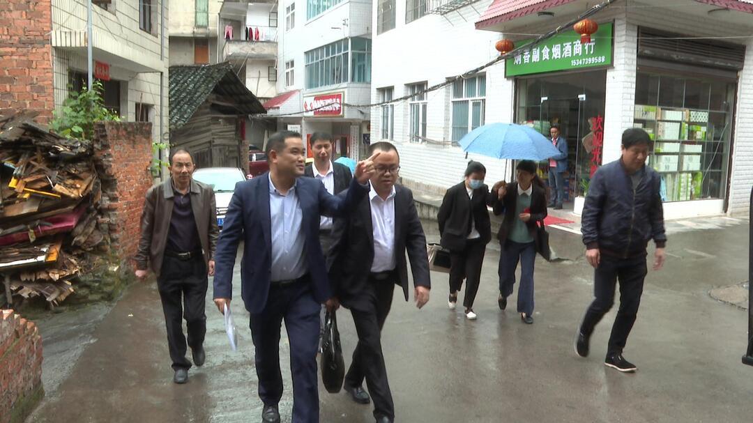 丁文锋到儒林镇督导市级卫生城市复审工作(图1)