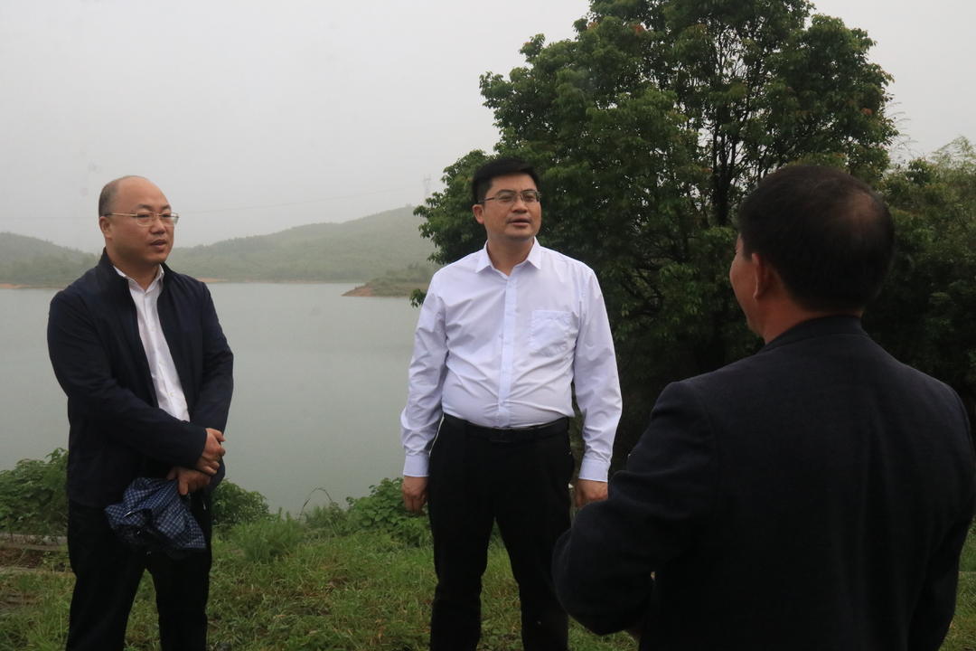 余勋伟调研全县重点项目建设、规模企业发展和山塘水库防汛工作(图2)