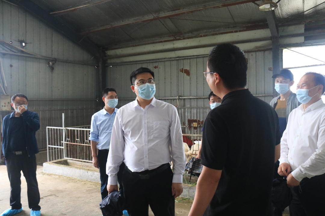 余勋伟调研全县重点项目建设、规模企业发展和山塘水库防汛工作(图1)