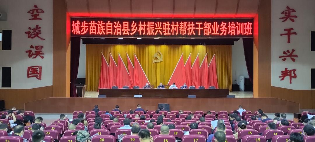城步乡村振兴驻村帮扶干部业务培训班开班(图1)