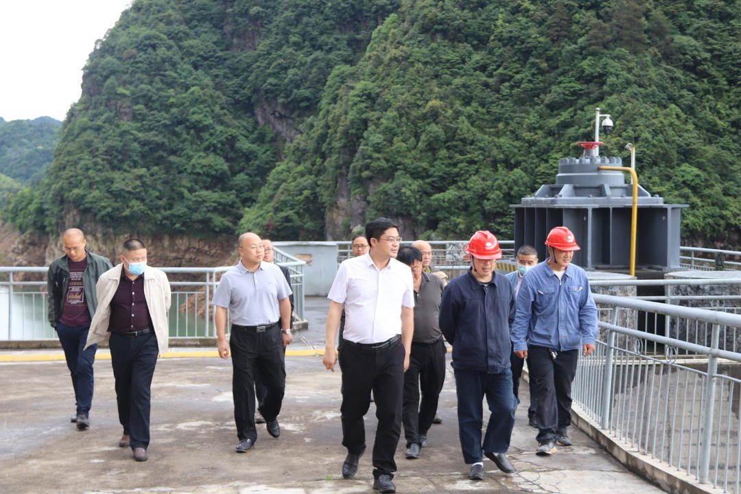 余勋伟督导地质灾害防治水库防汛等工作(图2)
