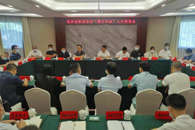 城步召开“聚才兴业”人才座谈会(图1)