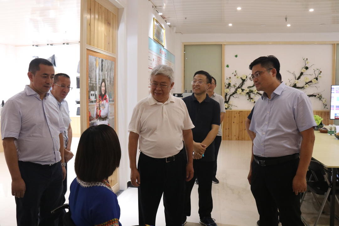 刘永富到城步调研数字乡村平台试点和乡村振兴工作(图1)