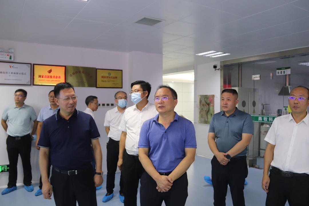 省发改委到城步调研园区建设工作(图1)