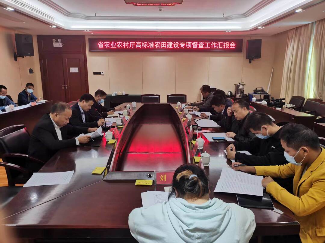省农业农村厅到城步开展高标准农田建设专项督查(图1)
