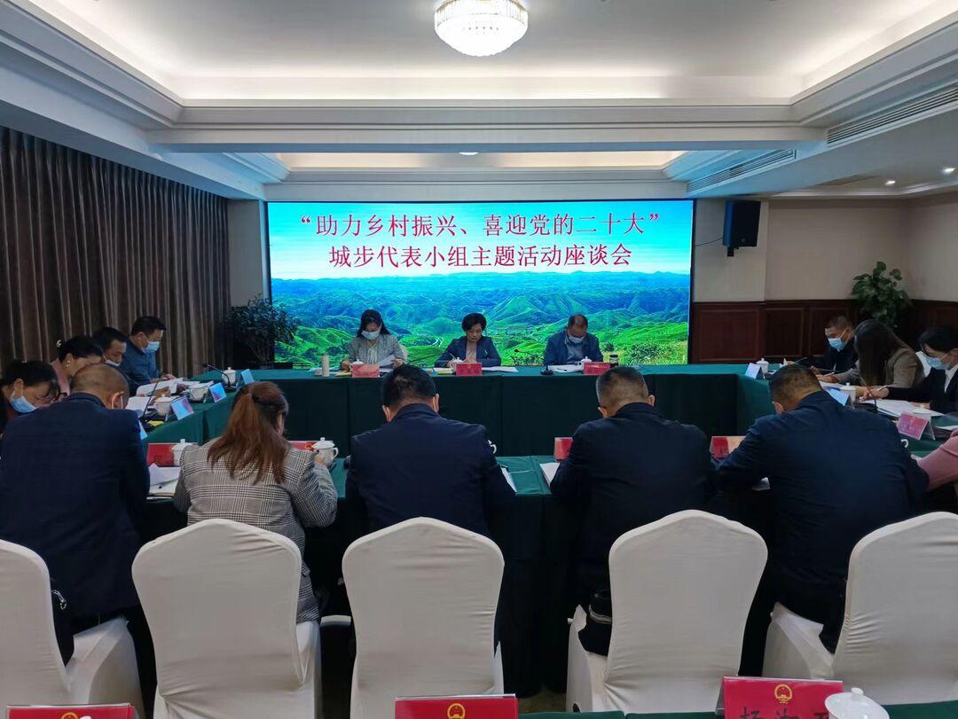 罗玉梅在城步参加市人大代表小组主题活动(图1)