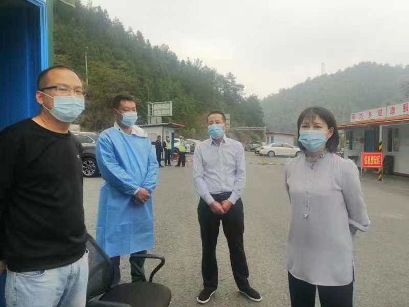 王慧敏深入乡镇督导检查工作(图1)