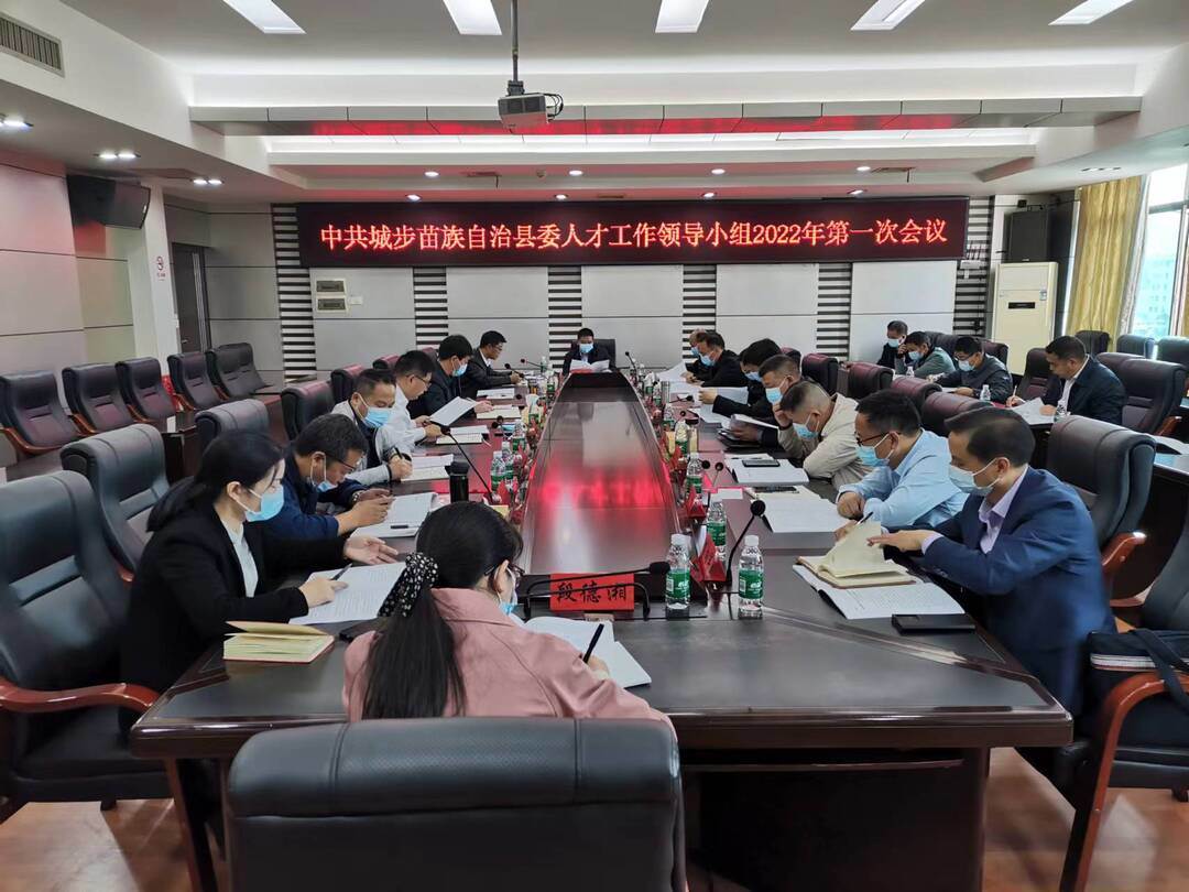 城步召开县委人才工作领导小组2022年第一次会议(图1)