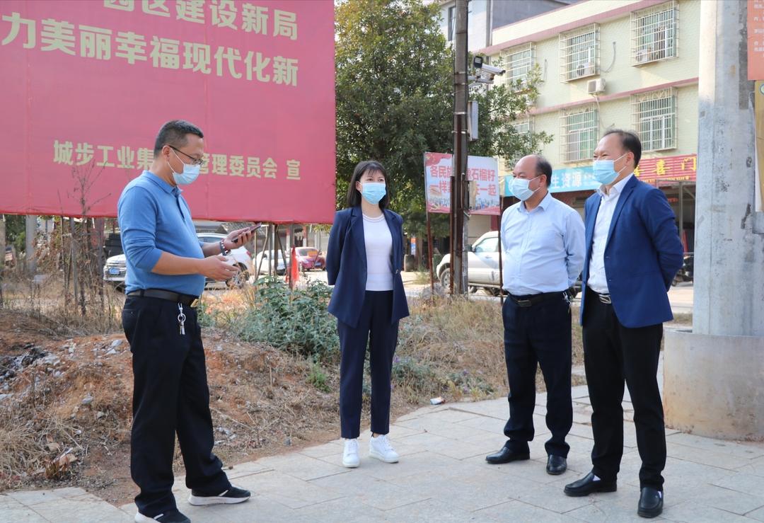 王慧敏调研城乡客运一体化乡镇运输服务站和首末站建设选址工作(图1)