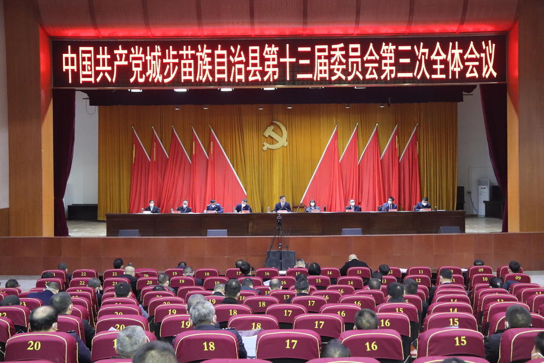 城步召开县委十三届三次全体会议(图1)
