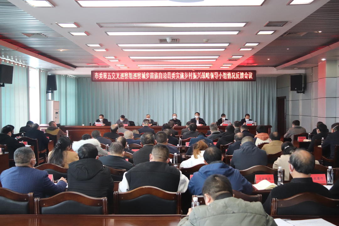 市委第五交叉巡察组向城步委实施乡村振兴战略领导小组反馈巡察情况(图2)