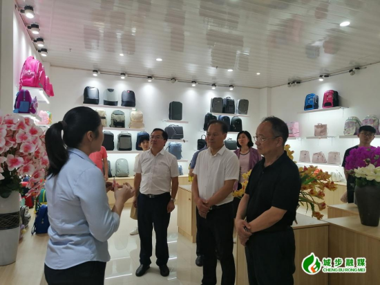 省政协到城步开展“促进我省民族地区省际边界县经济发展”调研(图1)