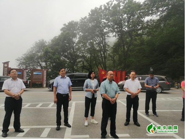 省政协到城步开展“促进我省民族地区省际边界县经济发展”调研(图2)