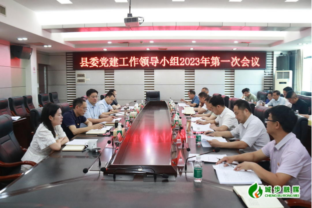 城步召开2023年县委党建工作领导小组第一次会议(图2)