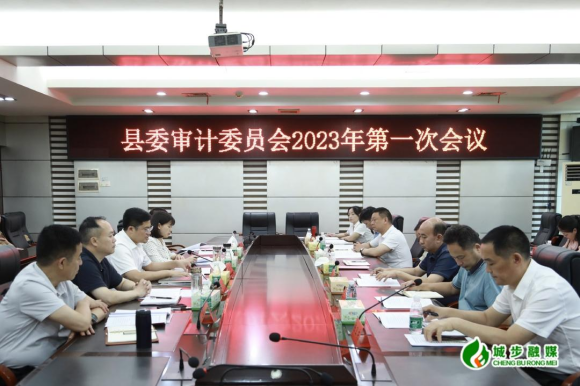 城步召开县委审计委员会2023年第一次会议(图2)