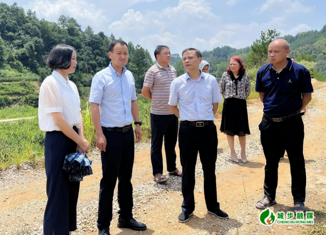 曾艺到蒋坊乡调研大豆玉米带状复合种植工作(图1)