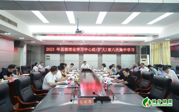 城步委理论学习中心组（扩大）举行2023年第六次集中学习(图2)