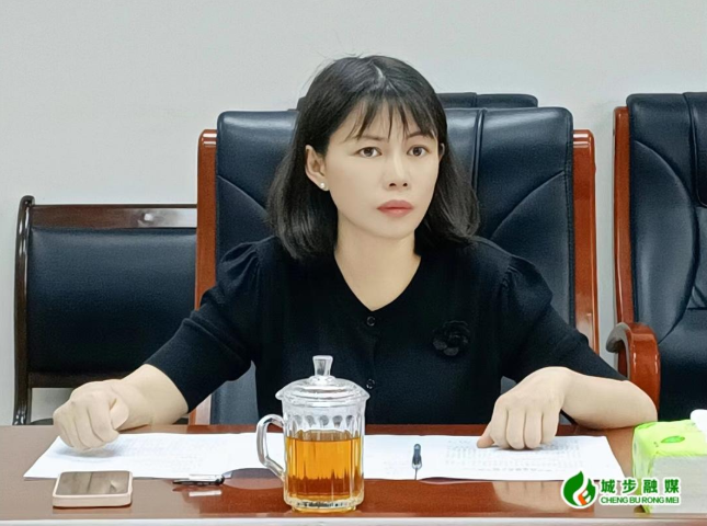 王慧敏调研县造纸厂改造项目(图1)