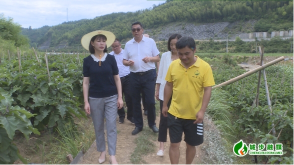 王慧敏到蒋坊乡、西岩镇调研乡村振兴、粮食安全等工作(图1)