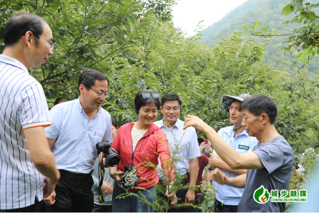 南山国家公园设立专家组到城步开展实地考察(图1)