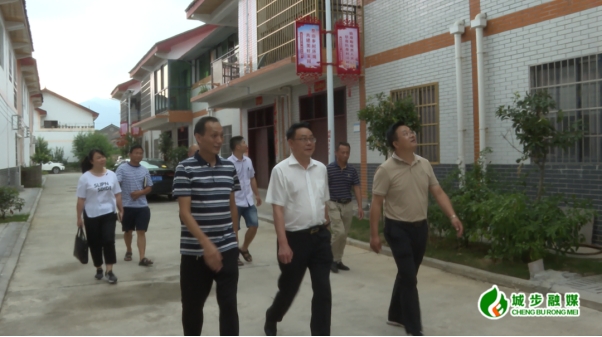 陈立发到西岩镇调研乡村振兴等工作(图1)