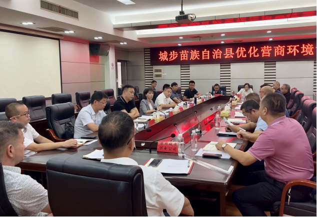 王慧敏调度全县优化营商环境工作(图1)