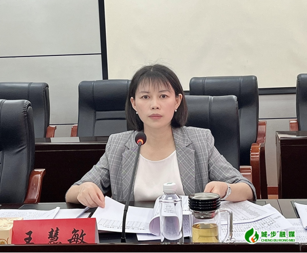 王慧敏调度全县优化营商环境工作(图2)