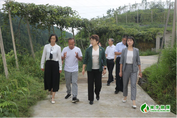 周迎春来城步调研全过程人民民主和乡村振兴工作(图1)