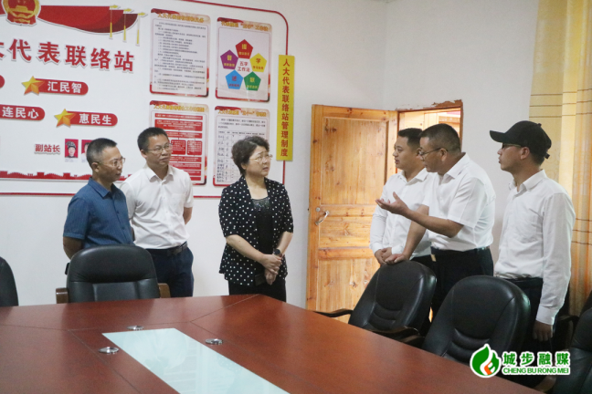 周迎春来城步调研全过程人民民主和乡村振兴工作(图2)