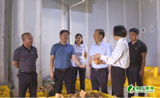唐承威到蒋坊乡督导节前安全生产工作(图1)