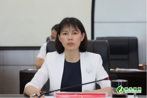城步召开招商引资、返乡创业暨项目建设工作调度会(图2)