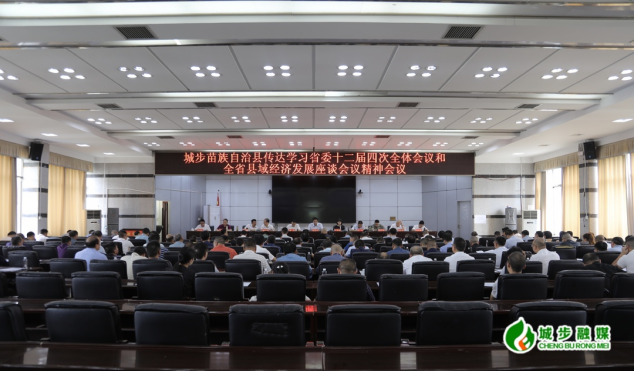 城步召开传达学习省委十二届四次全体会议和全省县域经济发展座谈会议精神会议(图3)