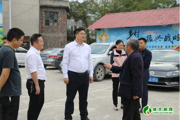 余勋伟深入金紫乡调研督导乡村振兴工作(图3)