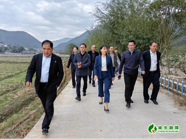 王慧敏走访调研乡村旅游企业(图2)