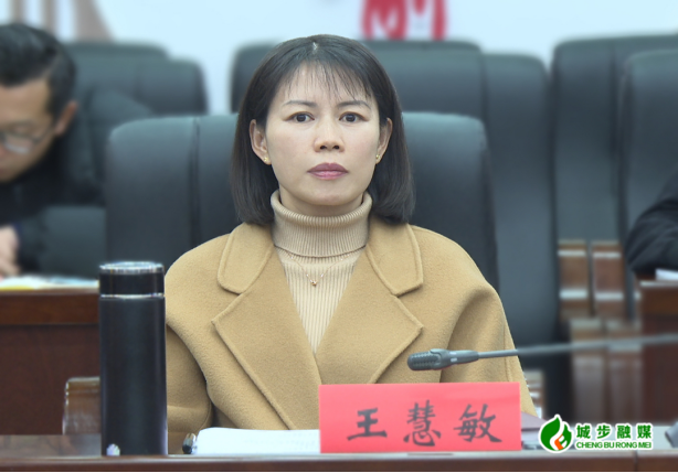 王慧敏调度城步巫江夜游项目设计工作(图2)