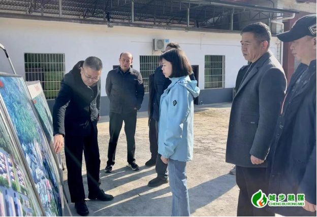 王慧敏调研城步汽贸汽配城项目建设工作(图2)