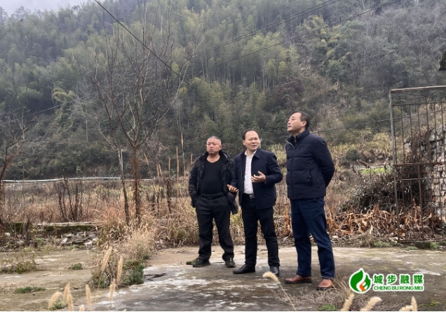 唐承威到蒋坊乡大同村督导产业项目建设情况(图1)